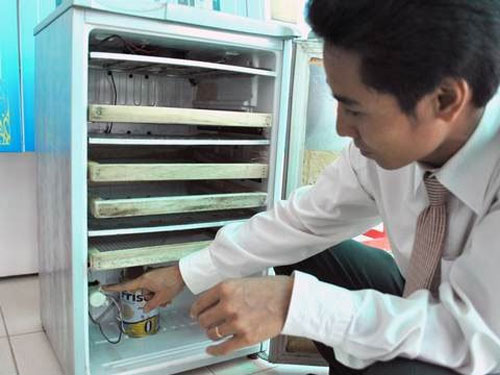 Người 'phù phép' những chiếc tủ lạnh hỏng thành máy ấp trứng